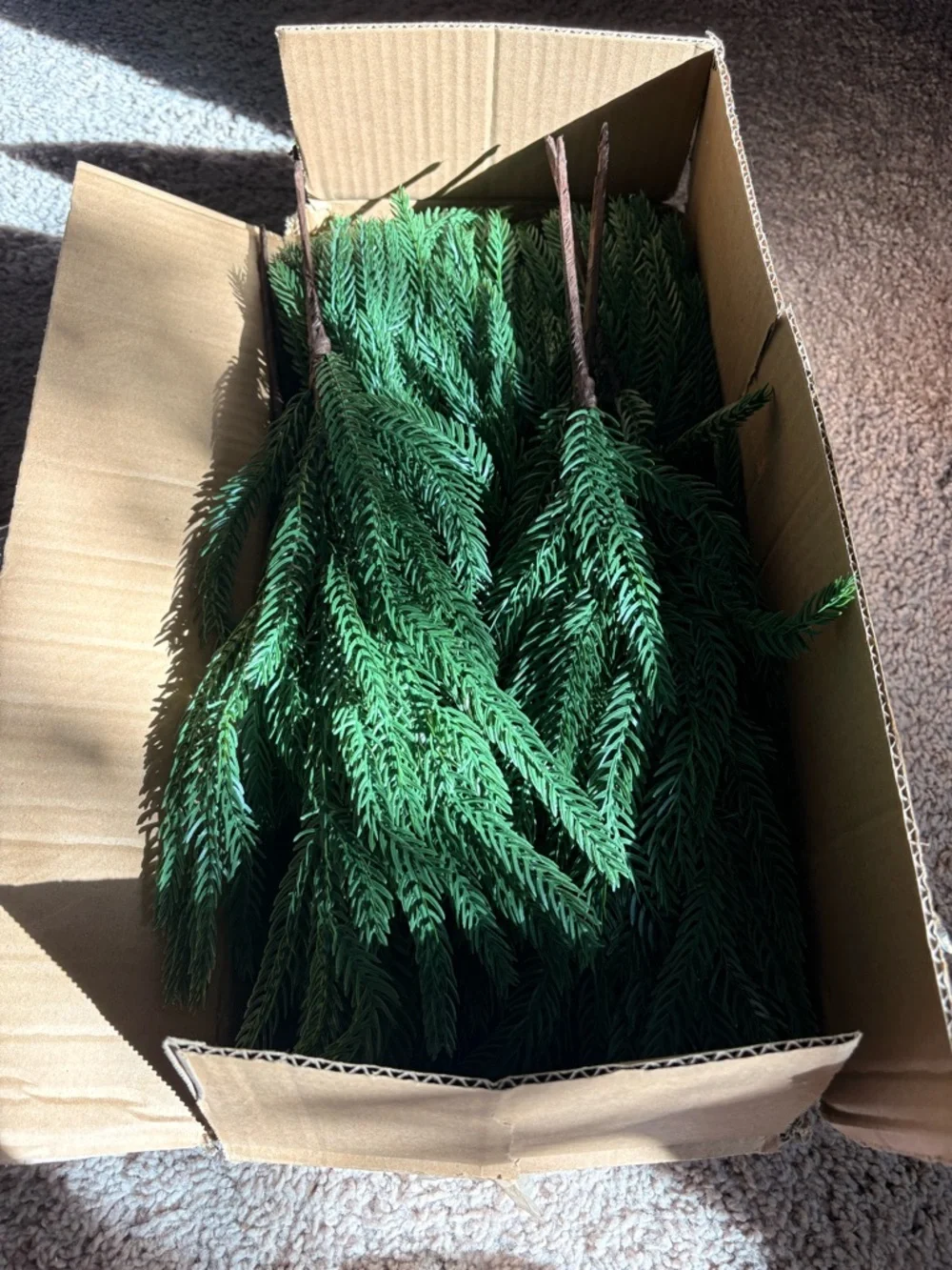 Artificial Norfolk Pine Branch - Green Holiday Pine Stem 12 pcs NWOT!